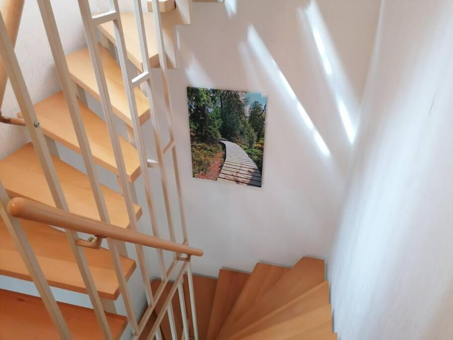Ferienhaus Hoher Weg - Urlaub, Wandern, Downhill Und Workation Am Nationalpark Harz Sankt Andreasberg Eksteriør billede