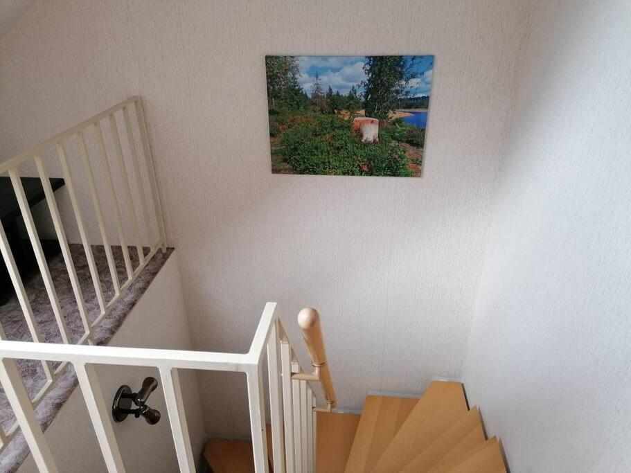 Ferienhaus Hoher Weg - Urlaub, Wandern, Downhill Und Workation Am Nationalpark Harz Sankt Andreasberg Eksteriør billede