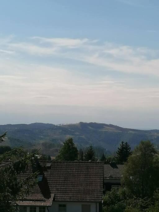 Ferienhaus Hoher Weg - Urlaub, Wandern, Downhill Und Workation Am Nationalpark Harz Sankt Andreasberg Eksteriør billede