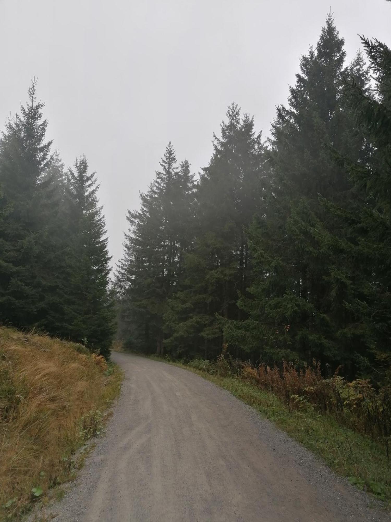 Ferienhaus Hoher Weg - Urlaub, Wandern, Downhill Und Workation Am Nationalpark Harz Sankt Andreasberg Eksteriør billede