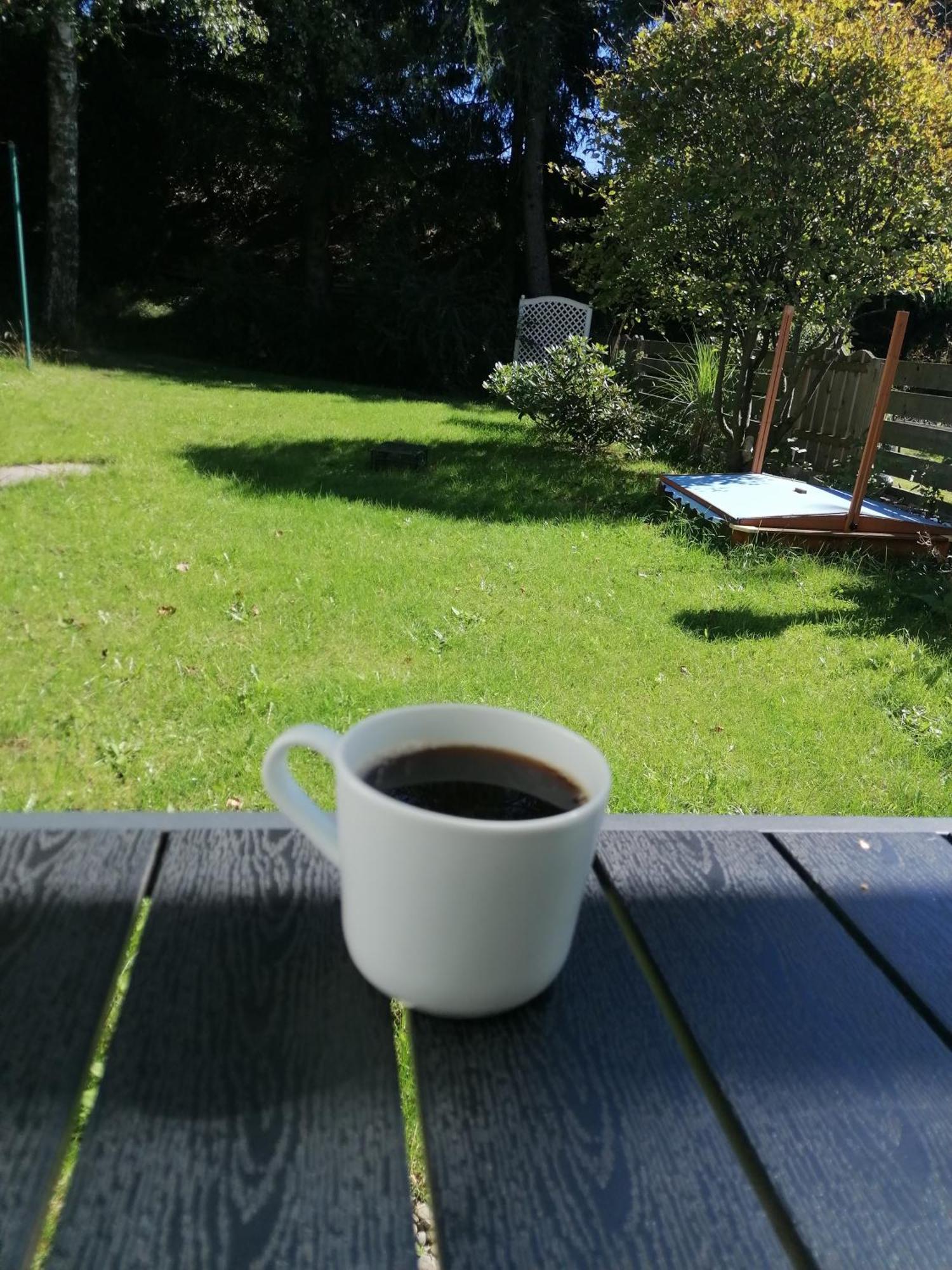 Ferienhaus Hoher Weg - Urlaub, Wandern, Downhill Und Workation Am Nationalpark Harz Sankt Andreasberg Eksteriør billede